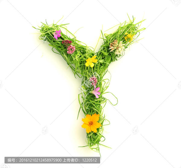 花與草的信