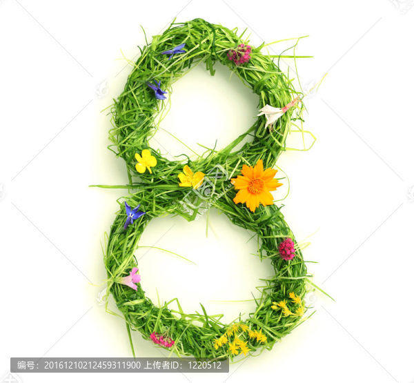 花和草做成的數(shù)字