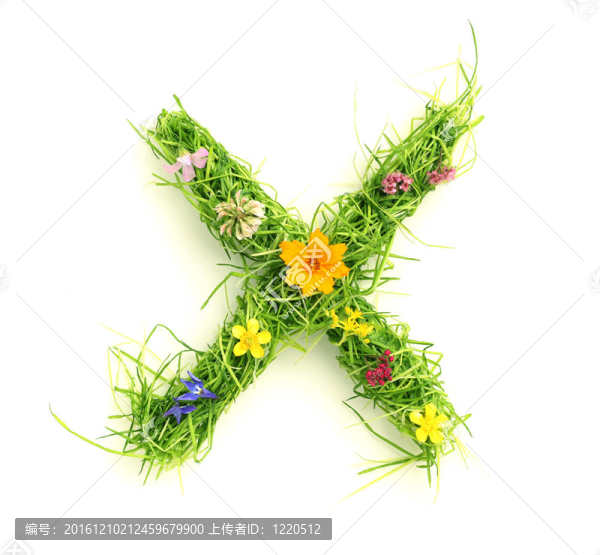 花與草的信