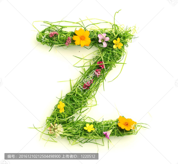 花與草的信