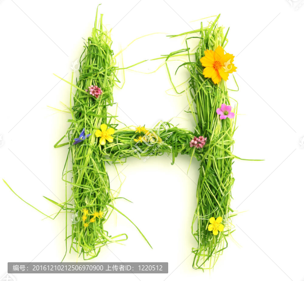 花與草的信