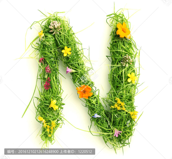 花與草的信