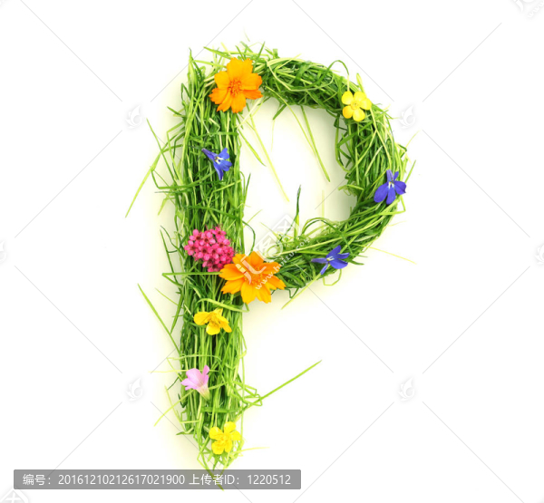 花與草的信