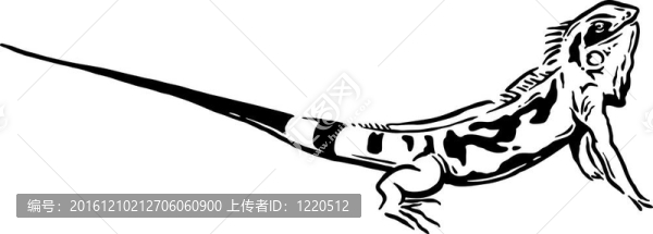 大蜥蜴