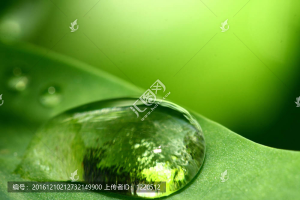 水滴