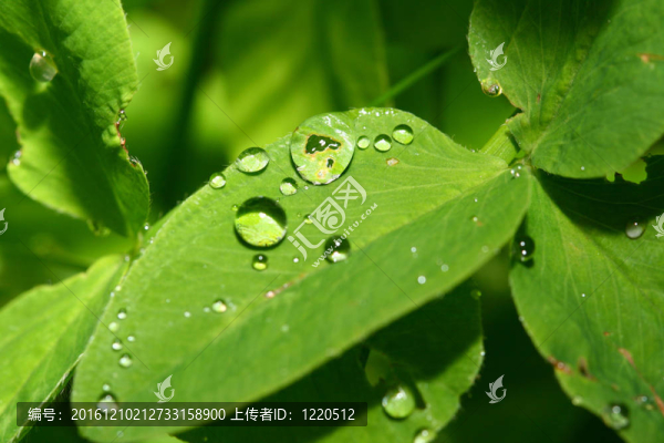 水滴