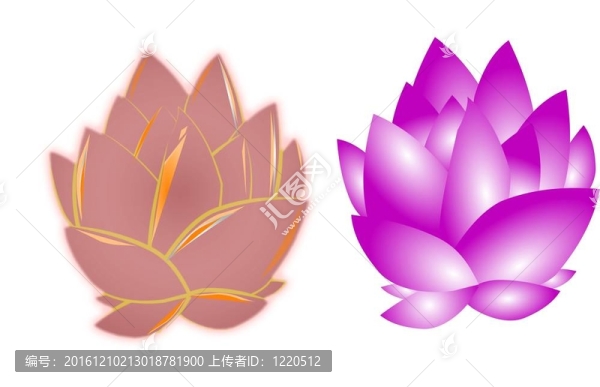 白蓮花
