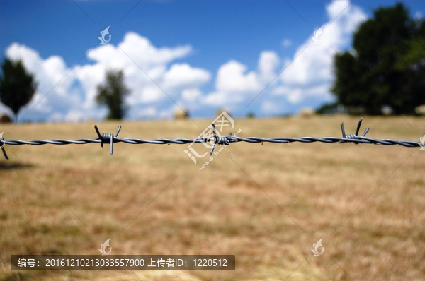 鐵絲網(wǎng)特寫