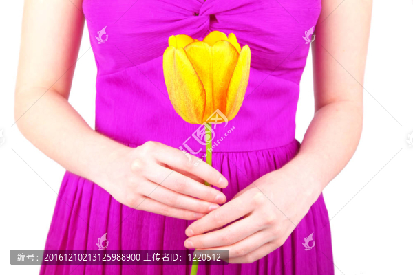 女人與郁金香
