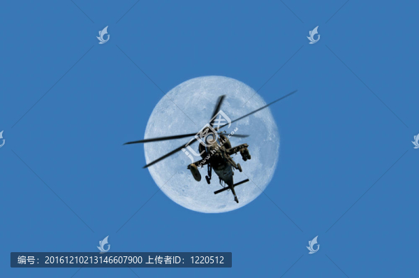 a-129貓鼬式