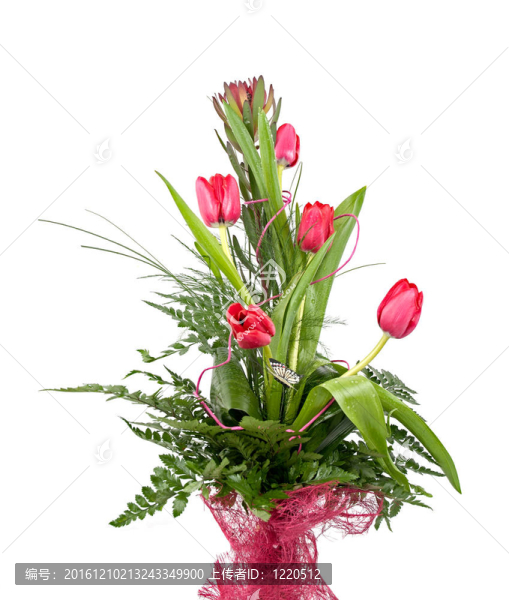 美麗的紅色郁金香花束