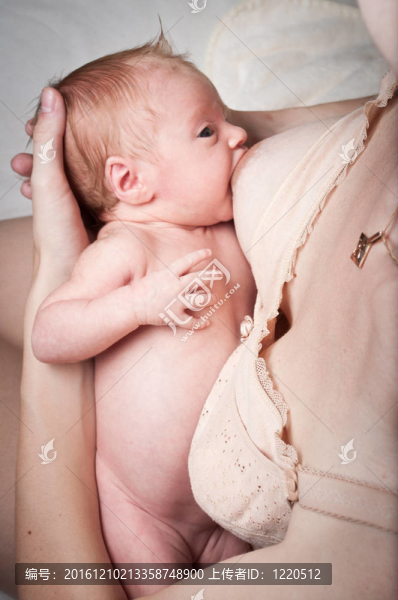 母乳喂養(yǎng)的嬰兒