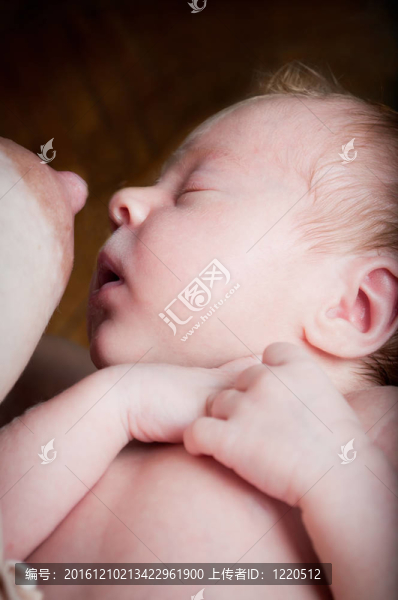 母乳喂養(yǎng)的嬰兒