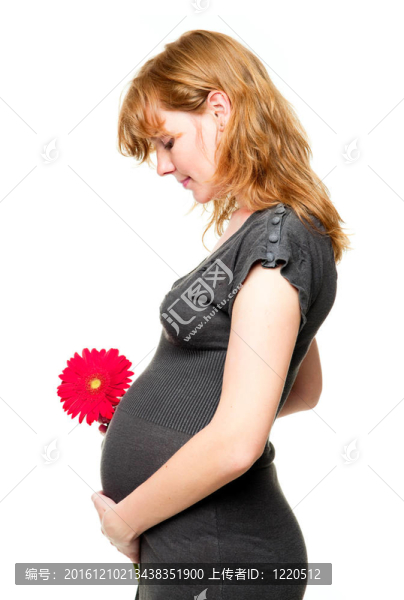 年輕孕婦抱著她的手在她的肚子與紅FL
