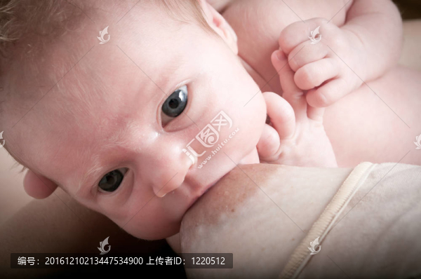 特寫(xiě)一個(gè)嬰兒母乳喂養(yǎng)