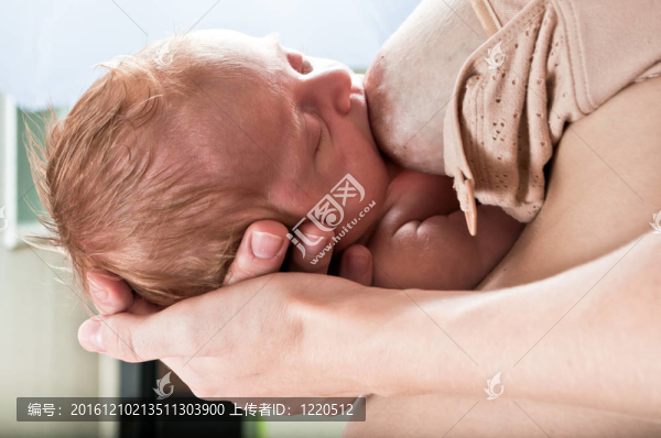 母乳喂養(yǎng)的嬰兒