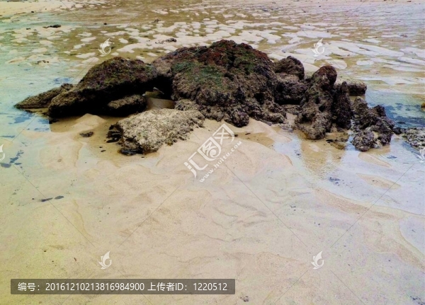 海灘上的巖石