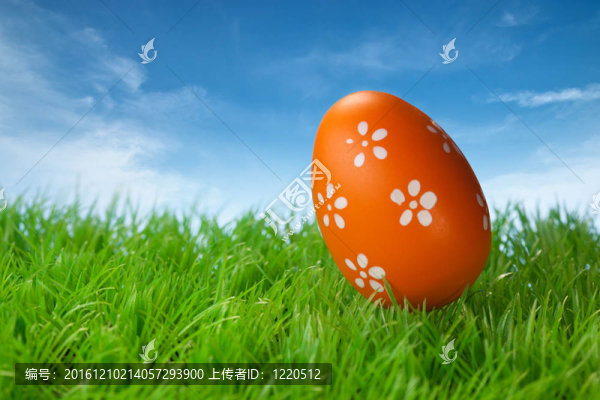 彩色復(fù)活節(jié)彩蛋在草地上藍(lán)色