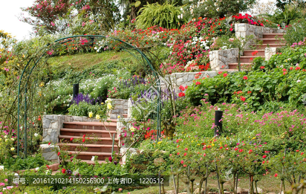 家和花園