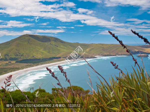 濱海景觀