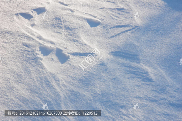 白色的雪
