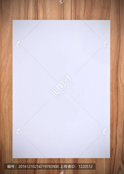 白皮書