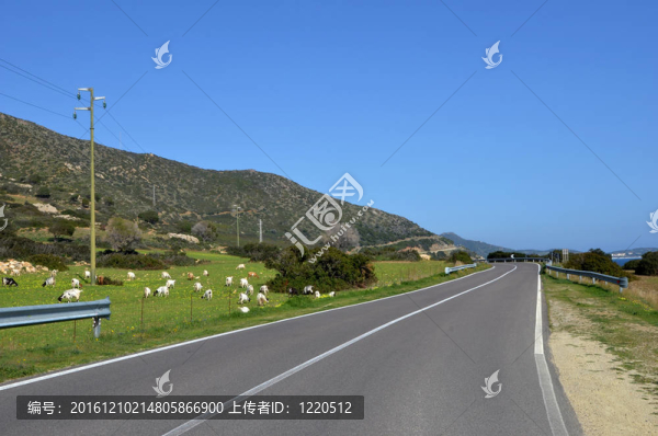 路