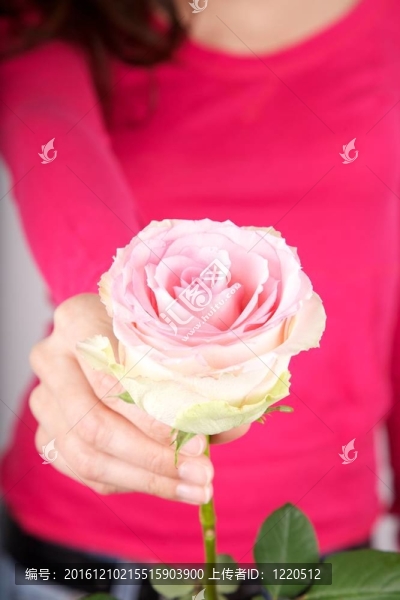 手上有花的女人細節(jié)