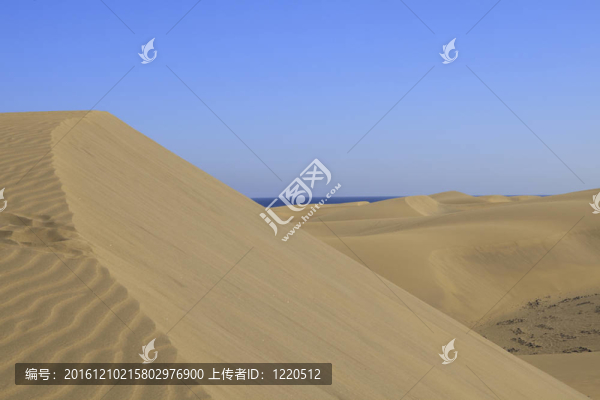 沙丘