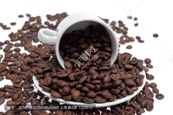 白色背景下的咖啡豆
