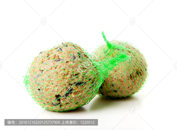 脂肪球；鳥類冬季食品