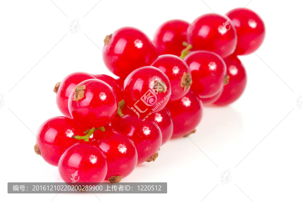 特寫紅醋栗漿果堆