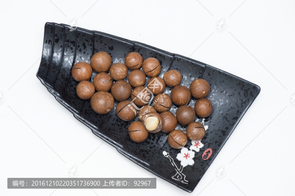 昆士蘭栗