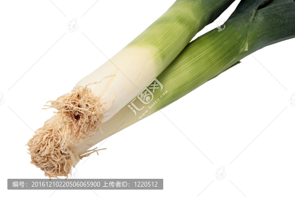 兩韭菜