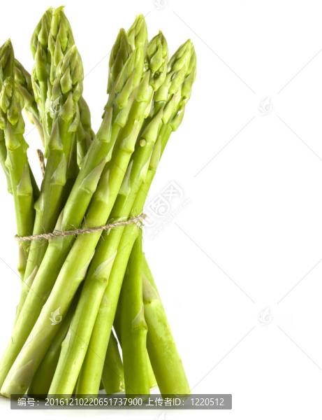 蘆筍