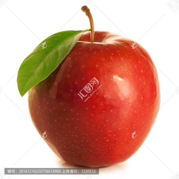美麗的紅蘋果葉