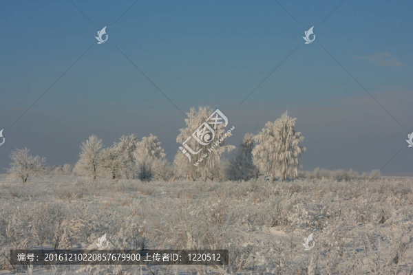 冬季景觀