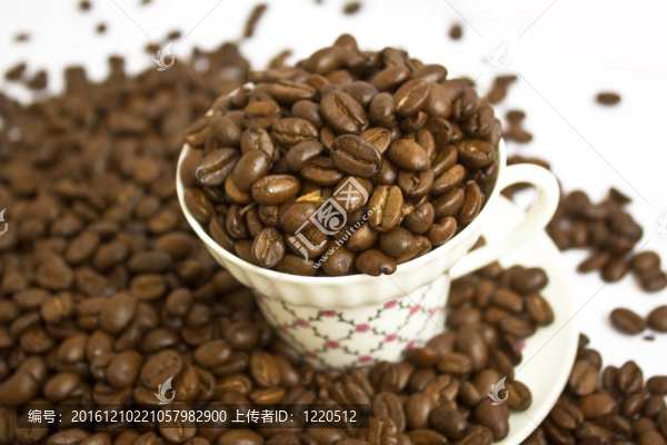 咖啡豆杯