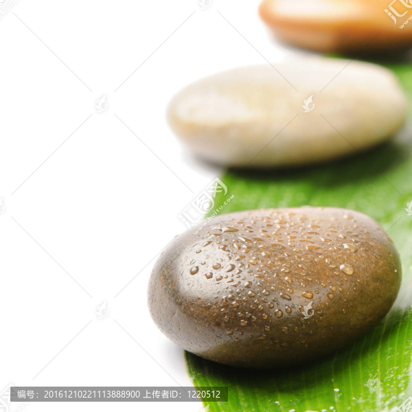 溫泉的石頭