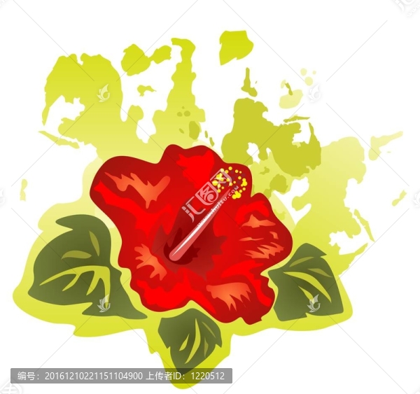 芙蓉圖案