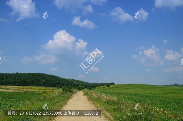 場路