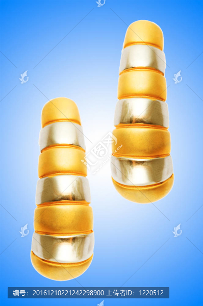 美麗的時(shí)尚概念與耳環(huán)
