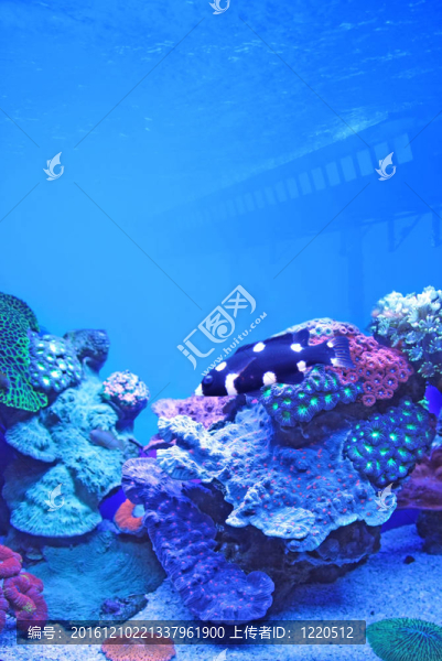 水族館