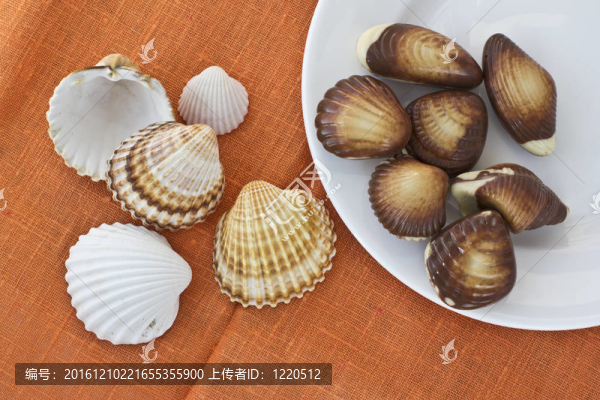 巧克力糖果和貝殼
