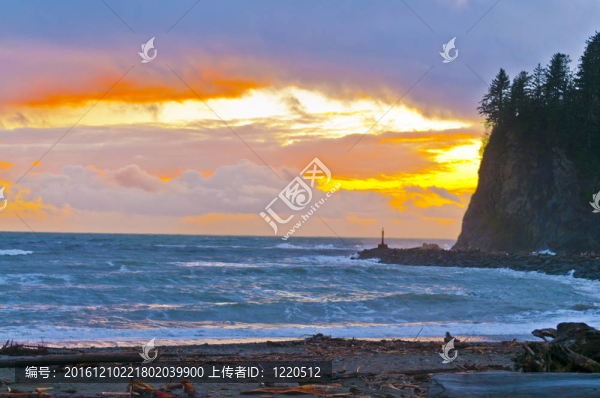 拉海灘福克斯華盛頓
