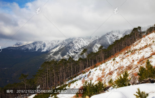 山