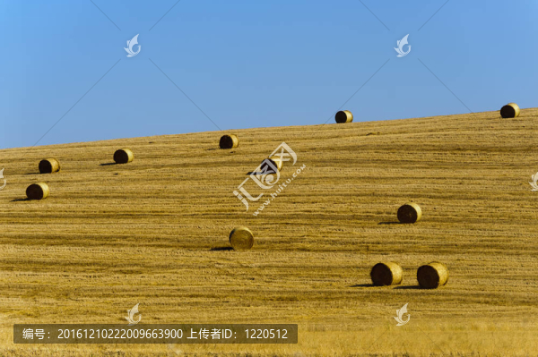 Val,d,Orcia（托斯卡納）景觀