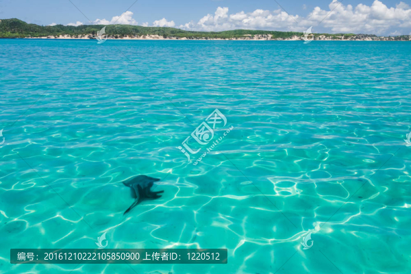 翡翠之海