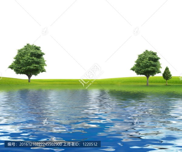 河流隔離的樹木