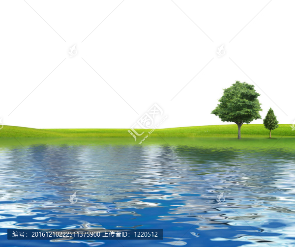 河流隔離的樹木